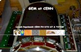 GEM at CERN seminar