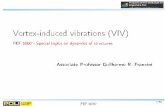 Vortex-induced vibrations (VIV)