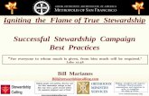 Igniting the Flame of True Stewardship Successful ...