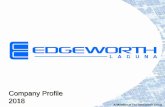 Company Profile 2007 - Edgeworth Corporation