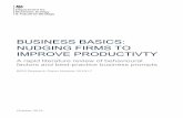 BUSINESS BASICS: NUDGING FIRMS TO IMPROVE PRODUCTIVTY