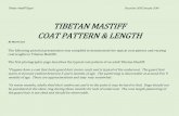 TIBETAN MASTIFF COAT PATTERN & LENGTH