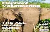 Thailand Chiangmai Elephants -
