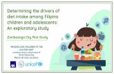 D etermining the drivers of diet intake among Filipino ...