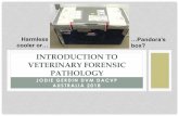 INTRODUCTION TO VETERINARY FORENSIC PATHOLOGY