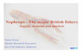 Nephrops - The major British fishery