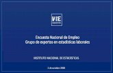 Encuesta Nacional de Empleo Grupo de expertos en ...