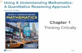 Using & Understanding Mathematics: A Quantitative ...