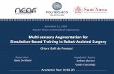 Multi-sensory Augmentation for Simulation-Based Training ...