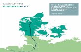 Pre-feasibility Danish-German Hydrogen Network