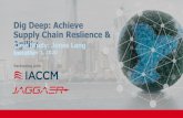 Dig Deep: Achieve Supply Chain Reslience & Agility Case ...