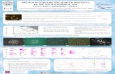 MICROPHYTOPLANKTON WINTER DIVERSITY IN THE SOUTH ADRIATIC SEA