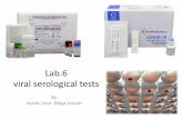 Lab.6 viral serological tests
