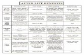 Compare Afterlife Entities Chart
