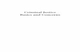 Criminal Justice Basics and Concerns