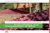 Organization and management of SPCs