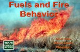 Fuels and Fire Behavior - Texas Master Naturalist