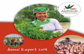 Annual Report 2o19 - agrisud.org