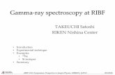 Gamma-ray spectroscopy at RIBF