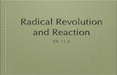 Radical Revolution and Reaction - Weebly