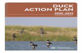 Minnesota's Duck Action Plan 2020-2023