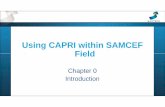 Using CAPRI within SAMCEF Field - oss.jishulink.com