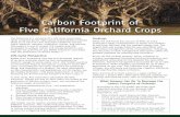 Carbon Footprint of Five California Orchard Crops