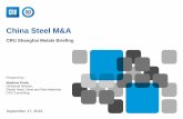 China Steel M&A - .NET Framework