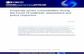 Corporate sector vulnerabilities during ... - acdc2007.free.fr