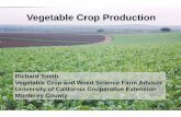 Vegetable Croopp Production - UCANR