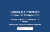 Opioids and Pregnancy: Lifecourse Perspectives