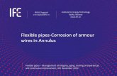 Flexible pipes-Corrosion of armour wires in Annulus