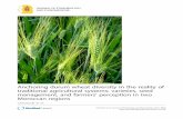 Anchoring durum wheat diversity in the reality of ...