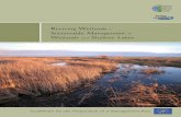 Reviving Wetlands – Sustainable Management Wetlands and ...