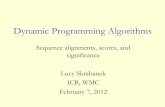 Dynamic Programming Algorithms