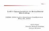 1xEV Opportunities in Broadband Workshop - CDG