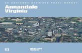 AN ADVISORY SERVICES PANEL REPORT Annandale Virginia