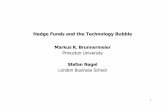Hedge Funds and the Technology Bubble - OpenScholar @ Princeton