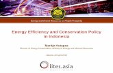 Energy Efficiency and Conservation Policy in Indonesia