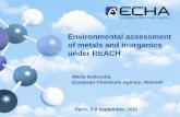 Environmental assessment of metals and inorganics under REACH