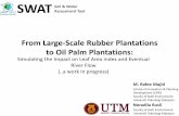 From Large-Scale Rubber Plantations to Oil Palm Plantations