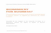 BIOMIMICRY FOR BUSINESS?