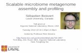 Scalable microbiome metagenome assembly and profiling