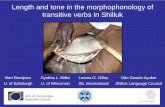 Length and tone in the morphophonology of transitive verbs in Shilluk