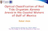 Optical Classification of Red Tide Organism Karenia brevisin the