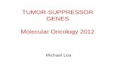 TUMOR-SUPPRESSOR GENES Molecular Oncology 2012Molecular Oncology 2012