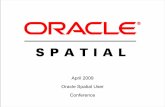 Managing and Visualizing Large Scale 3D Data in Oracle Spatial 11g