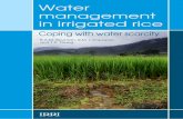 Water Management in Irrigated Rice