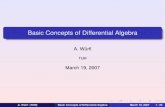 Basic Concepts of Differential Algebra