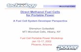 Direct Methanol Fuel Cells for Portable Power